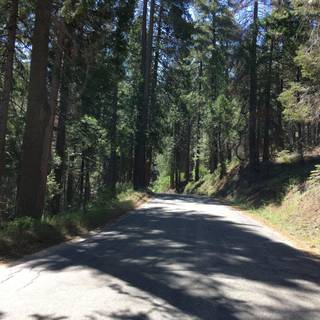 Kings Canyon National Park wallpaper