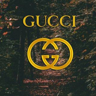 Supreme and Gucci wallpaper