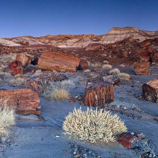 Petrified Forest National Park wallpaper
