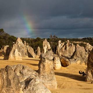 Pinnacles National Park wallpaper
