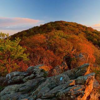 Shenandoah National Park wallpaper