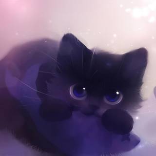 Galaxy cat wallpaper