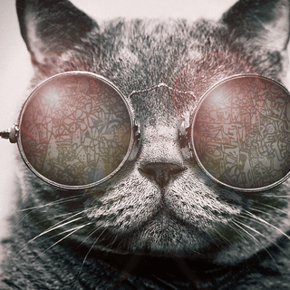 Galaxy cat wallpaper