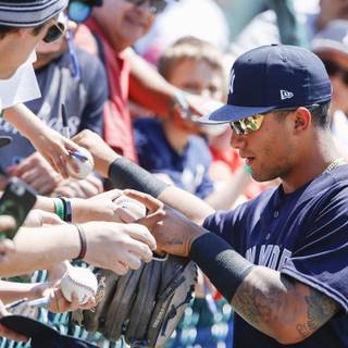 Gleyber Torres wallpaper