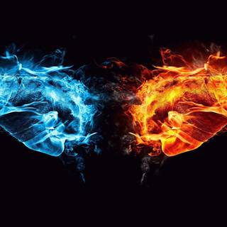 The four elements wallpaper