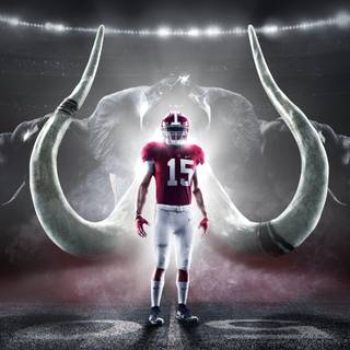 Alabama Crimson Tide football wallpaper