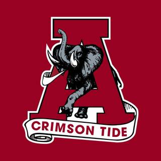 Alabama Crimson Tide football wallpaper