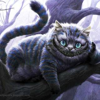 Poetry cat wallpaper