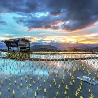 Microsoft Windows 10 wallpaper