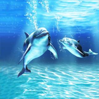 Dolphin Tale wallpaper