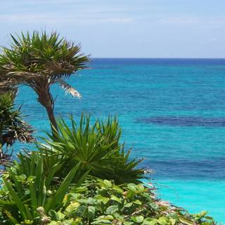 Tulum National Park wallpaper