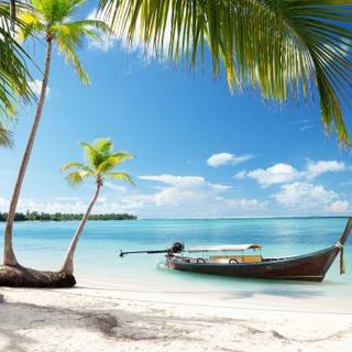 Tulum National Park wallpaper