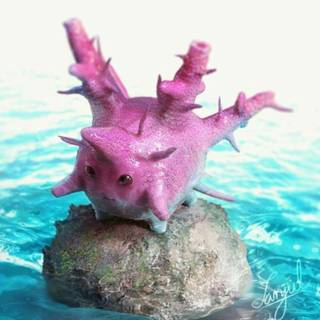 Corsola HD wallpaper