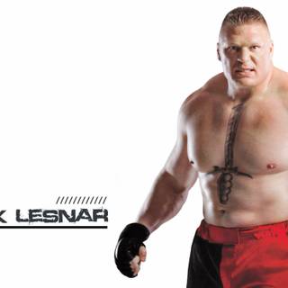 Brock lesnar HD wallpaper