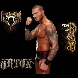 Randy Orton wallpaper