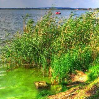 Beautiful wallpaper of nature for mobile