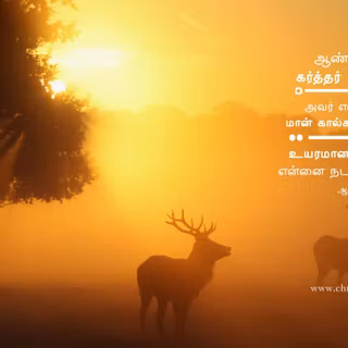 Jesus christ wallpaper with bible verse