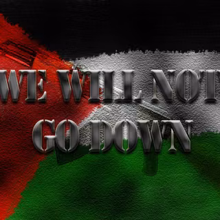 Wallpaper bandera Palestina