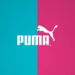 Puma wallpaper