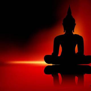 Buddha HD wallpaper