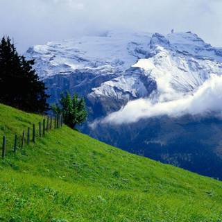 HD wallpaper 1920x1080 nature