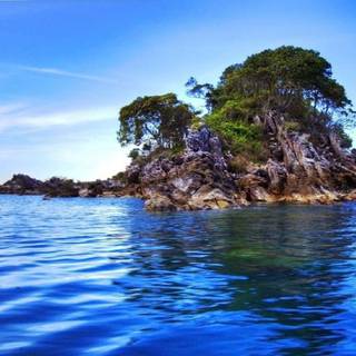 HD wallpaper nature 1080p