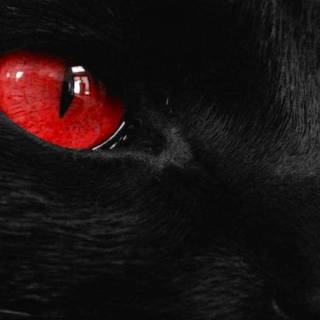 Black and red wallpaper