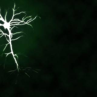 Neurons wallpaper