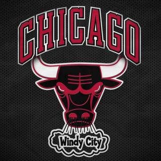 Bulls wallpaper