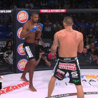 Bellator MMA wallpaper