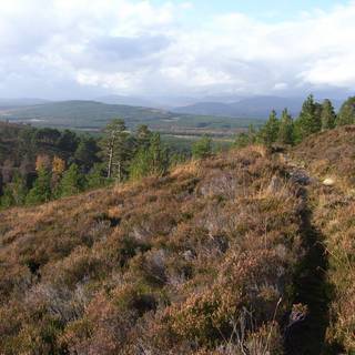 Cairngorms National Park wallpaper