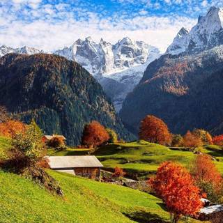 Swiss National Park wallpaper