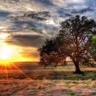 Wallpaper full HD 1920x1080