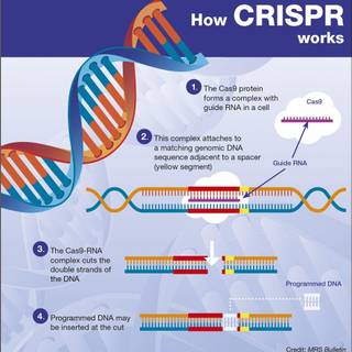CRISPR wallpaper