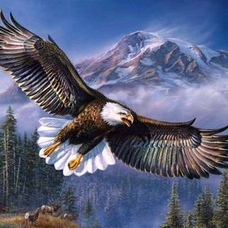 The Eagle wallpaper