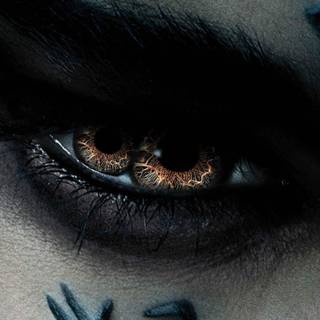 Sofia Boutella wallpaper