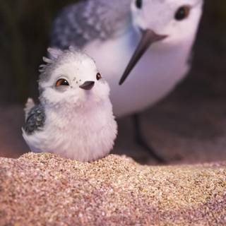Piper Pixar wallpaper