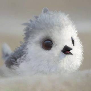 Piper Pixar wallpaper