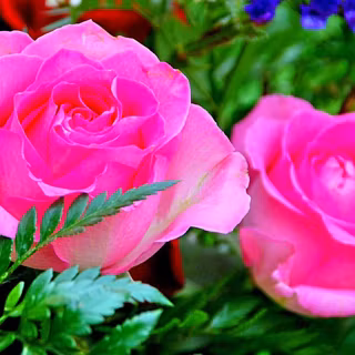 Desktop wallpaper HD 3D full screen flowers