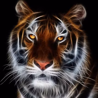 Gambar wallpaper macan 3d