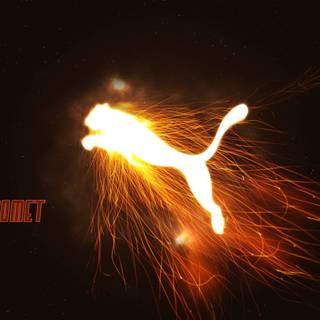 Puma HD wallpaper