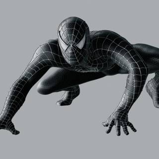 Spiderman 3 black spiderman wallpaper