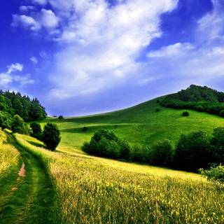 Wallpaper full HD nature