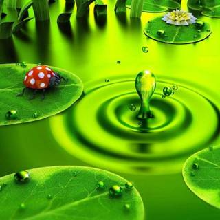 HD wallpaper free download