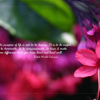 Cute wallpaper with love quotes for mobile