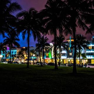 Miami wallpaper