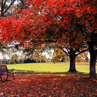 Full HD wallpaper for PC