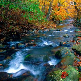 Free background scenery