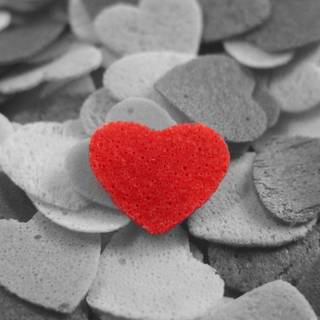 Beautiful heart images wallpaper