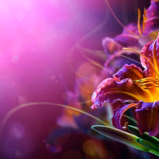 786 wallpaper mobile